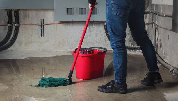 Best Residential water damage restoration  in New Paris, OH